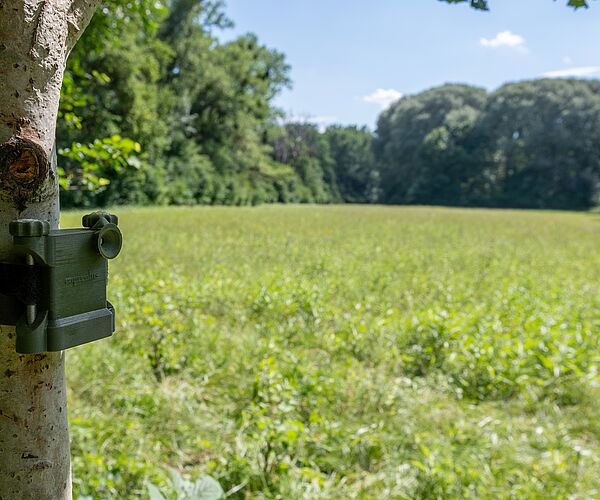 Aktives Zuhören: Bundesforste setzen auf akustisches Monitoring für seltene Vogelarten Aktives Zuhören: Bundesforste setzen auf akustisches Monitoring für seltene Vogelarten