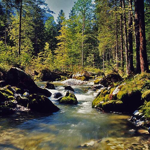 Flusslauf
