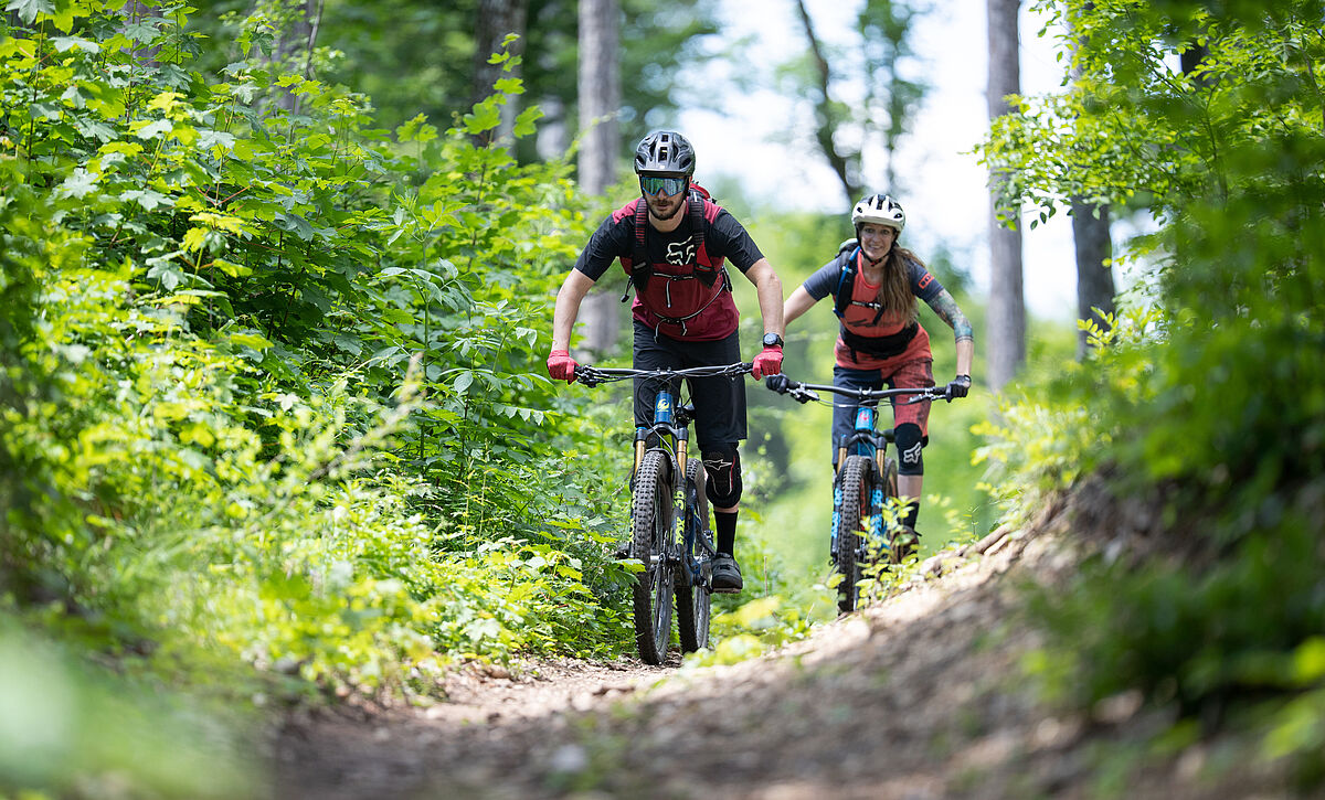 Mountainbiker im Wienerwald (c) Niederösterreich Tourismus Mountainbiker im Wienerwald (c) Niederösterreich Tourismus