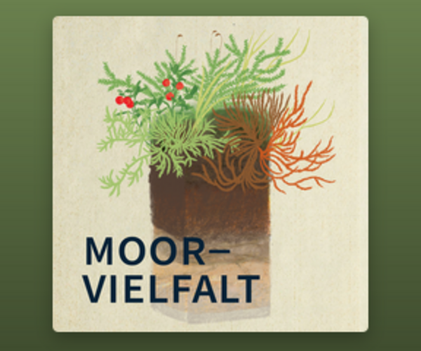 Neue Podcast-Reihe „Moorvielfalt“ der Universität Wien Neue Podcast-Reihe „Moorvielfalt“ der Universität Wien