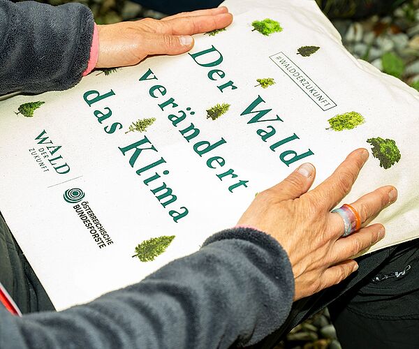 Das waren unsere Wald der Zukunft Führungen 2026 Das waren unsere Wald der Zukunft Führungen 2026