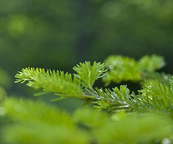 Neues Natur.Raum.Management-Journal online Neues Natur.Raum.Management-Journal online
