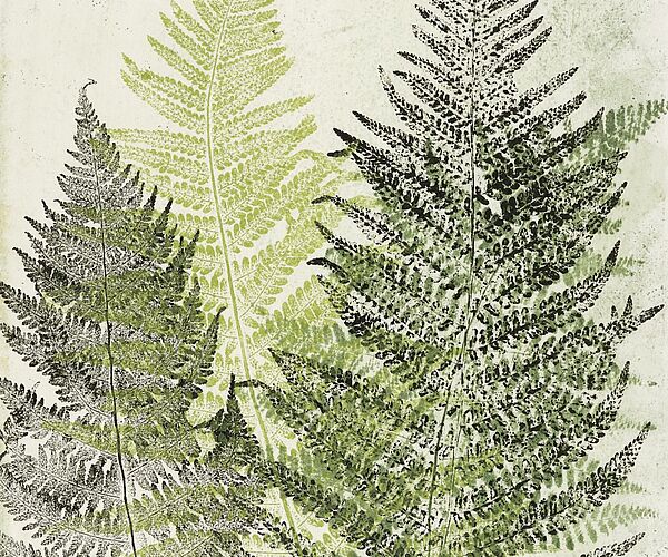 WALD Kalender August 2026 WALD Kalender August 2026