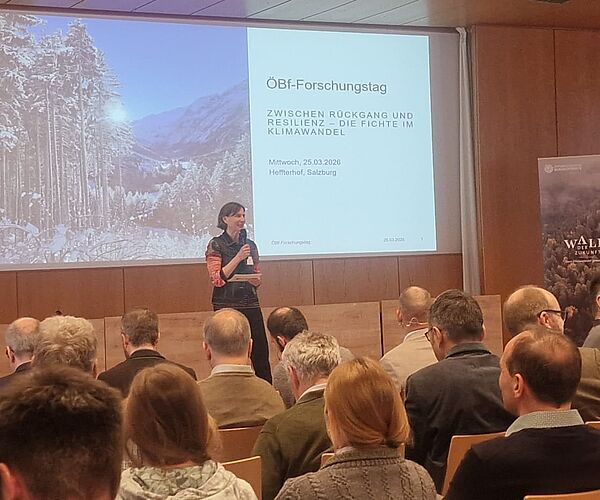 Nachlese zum ÖBf-Forschungstag 2026 „Zwischen Rückgang und Resilienz: Die Fichte im Klimawandel.“ Nachlese zum ÖBf-Forschungstag 2026 „Zwischen Rückgang und Resilienz: Die Fichte im Klimawandel.“
