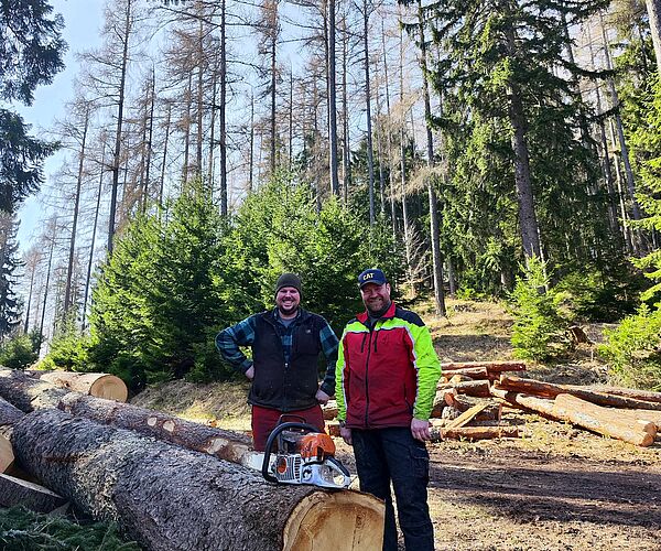 Ein Stück Wald für die Bühne der Raimundspiele Gutenstein Ein Stück Wald für die Bühne der Raimundspiele Gutenstein