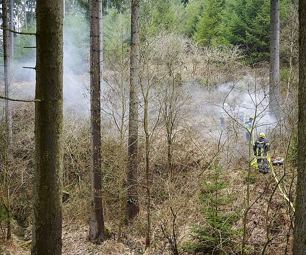 Brandgefahr im trockenen Wald: Bundesforste, Alpenverein und Naturfreunde rufen zu Achtsamkeit auf Brandgefahr im trockenen Wald: Bundesforste, Alpenverein und Naturfreunde rufen zu Achtsamkeit auf